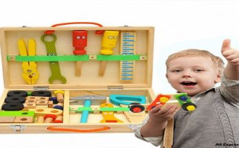 Using Toys for Childlike Learning