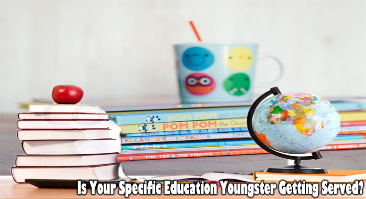 Is Your Specific Education Youngster Getting Served?